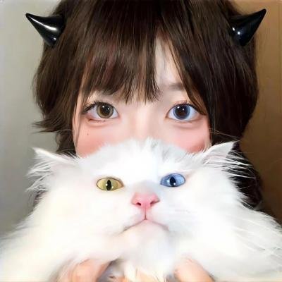 凡妮莎海辛第五季