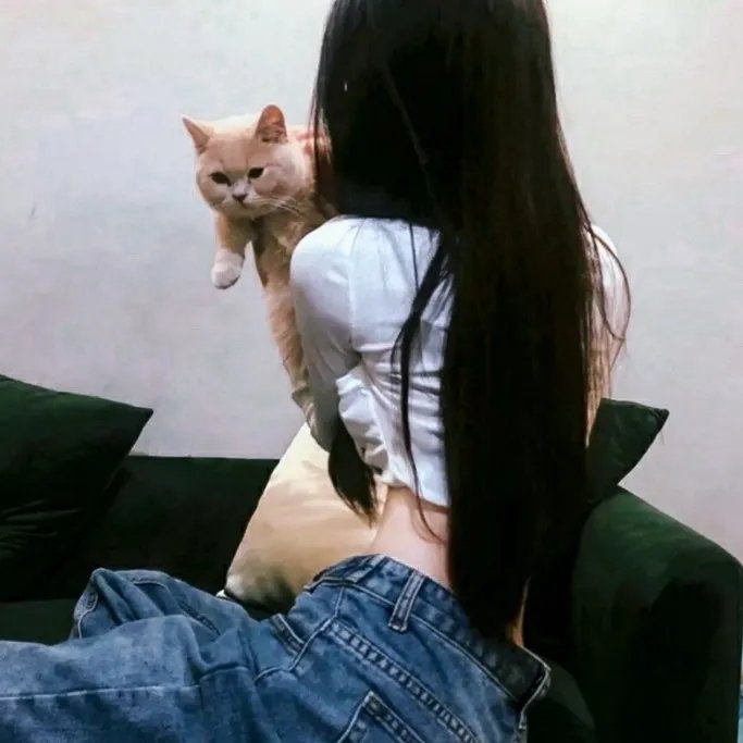 智慧风暴